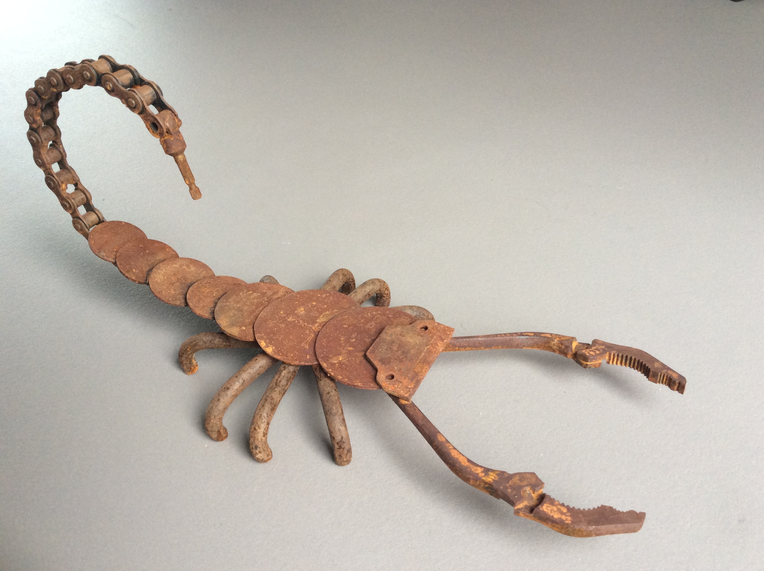 Scorpion maure