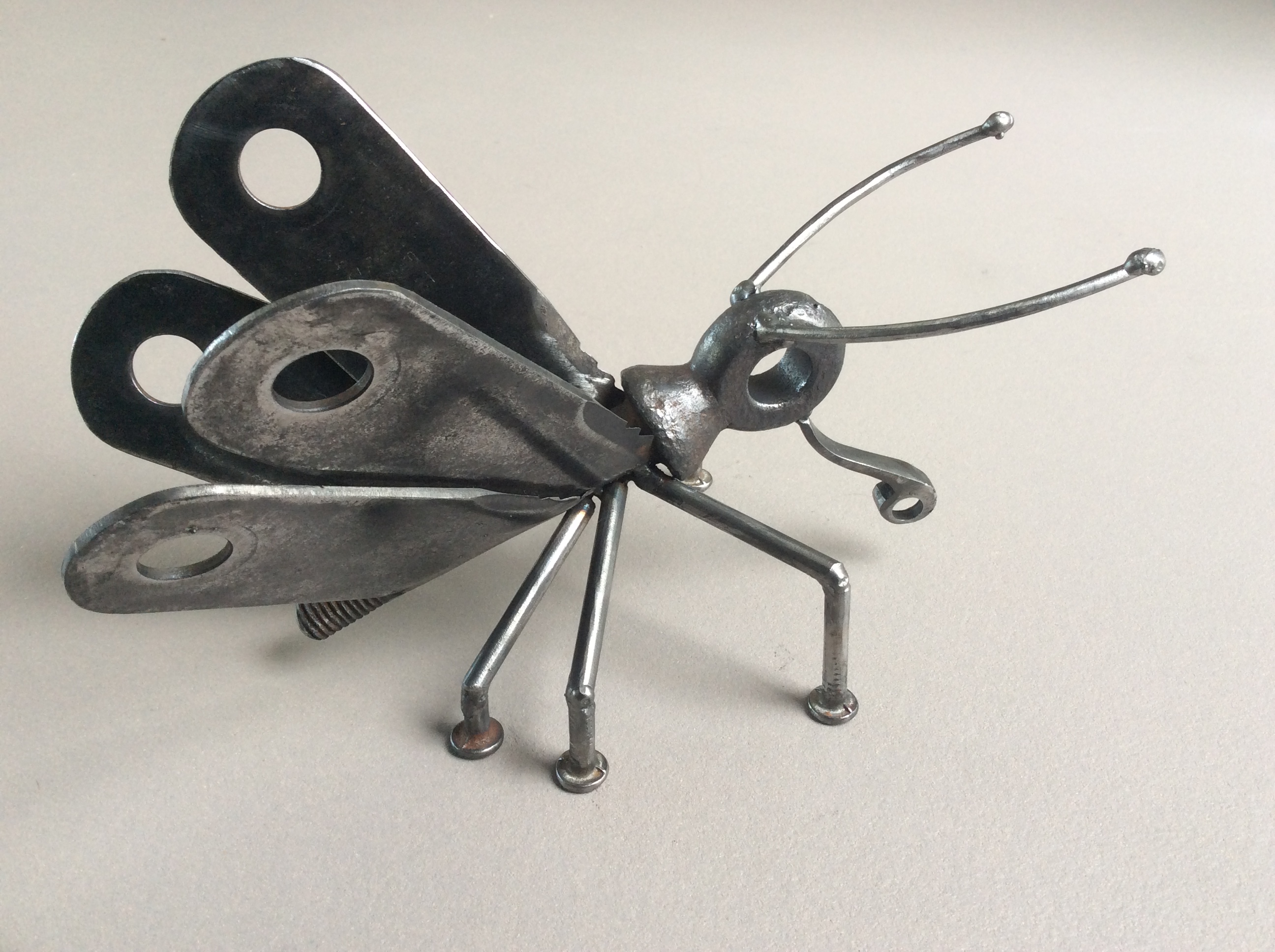 Papillon Grand mars
